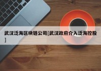 武汉泛海区块链公司[武汉政府介入泛海控股]