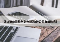 区块链公司级别划分[区块链公司有前途吗]