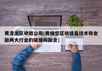 黄凌波区块链公司[黄锫坚区块链是技术和金融两大行业的碰撞和融合]